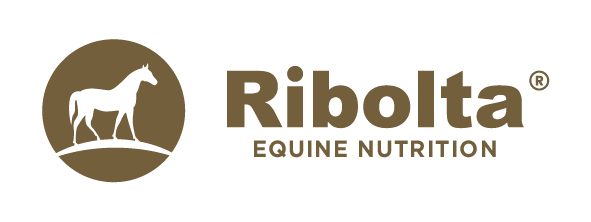 Ribolta